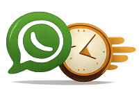 Fast WhatsApp support